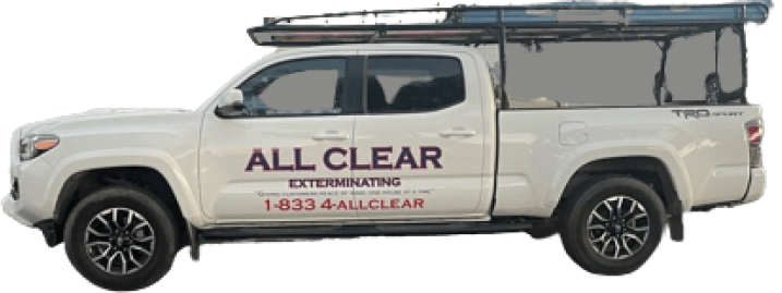 All clear Car